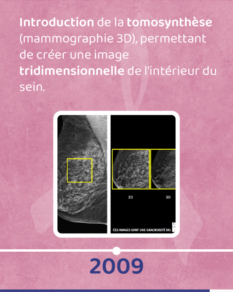 Chronologie_Plan de travail 10